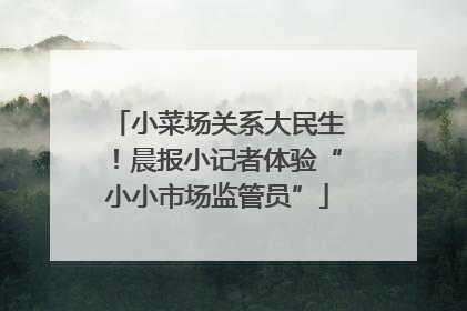 小菜场关系大民生！晨报小记者体验“小小市场监管员”