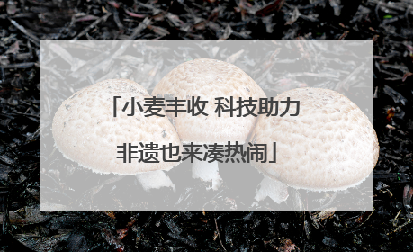 小麦丰收 科技助力 非遗也来凑热闹