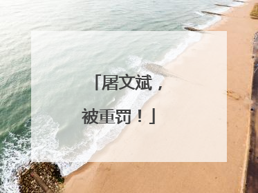 屠文斌，被重罚！