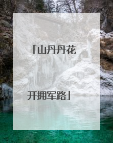 山丹丹花开拥军路
