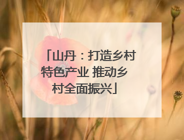山丹：打造乡村特色产业 推动乡村全面振兴