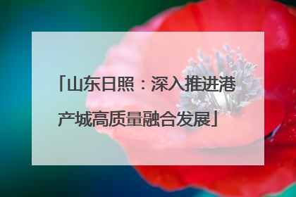 山东日照：深入推进港产城高质量融合发展