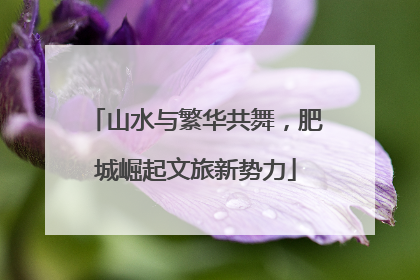 山水与繁华共舞，肥城崛起文旅新势力