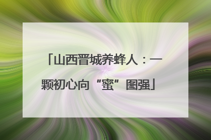 山西晋城养蜂人：一颗初心向“蜜”图强