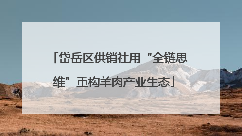 岱岳区供销社用“全链思维”重构羊肉产业生态