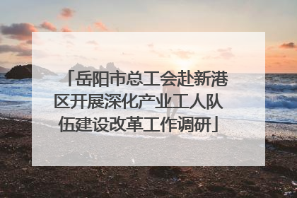 岳阳市总工会赴新港区开展深化产业工人队伍建设改革工作调研