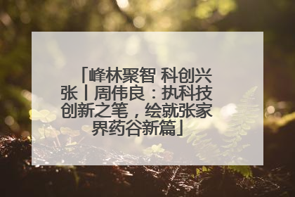 峰林聚智 科创兴张丨周伟良：执科技创新之笔，绘就张家界药谷新篇