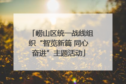崂山区统一战线组织“智览新篇 同心奋进”主题活动