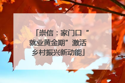 崇信：家门口“就业黄金期”激活乡村振兴新动能