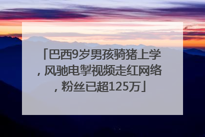 巴西9岁男孩骑猪上学，风驰电掣视频走红网络，粉丝已超125万