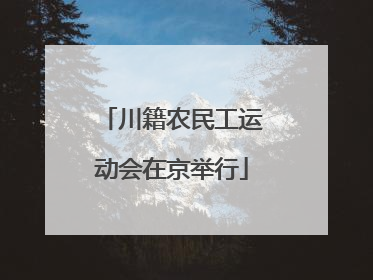 川籍农民工运动会在京举行