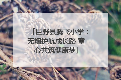 巨野县腾飞小学：无烟护航成长路 童心共筑健康梦