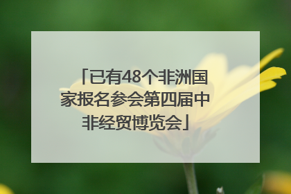 已有48个非洲国家报名参会第四届中非经贸博览会