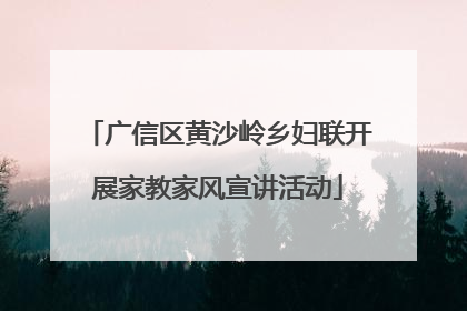 广信区黄沙岭乡妇联开展家教家风宣讲活动