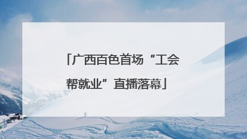 广西百色首场“工会帮就业”直播落幕