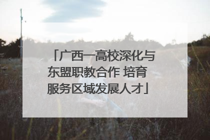 广西一高校深化与东盟职教合作 培育服务区域发展人才