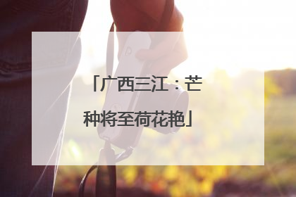 广西三江：芒种将至荷花艳