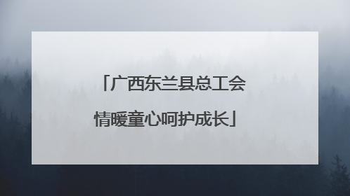 广西东兰县总工会情暖童心呵护成长