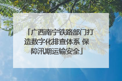 广西南宁铁路部门打造数字化排查体系 保障汛期运输安全