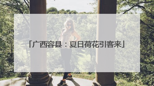 广西容县：夏日荷花引客来