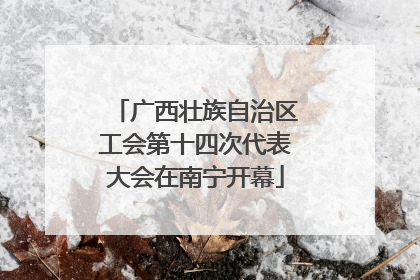 广西壮族自治区工会第十四次代表大会在南宁开幕