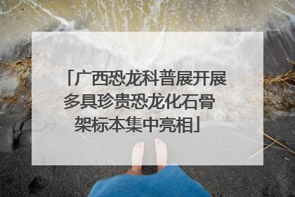 广西恐龙科普展开展 多具珍贵恐龙化石骨架标本集中亮相