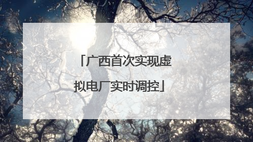 广西首次实现虚拟电厂实时调控
