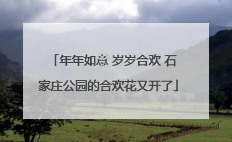 年年如意 岁岁合欢 石家庄公园的合欢花又开了