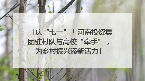 庆“七一”！河南投资集团驻村队与高校“牵手”，为乡村振兴添新活力
