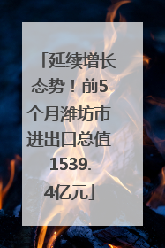 延续增长态势！前5个月潍坊市进出口总值1539.4亿元