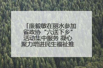 廉毅敏在丽水参加省政协“六送下乡”活动集中服务 凝心聚力增进民生福祉推进共同富裕