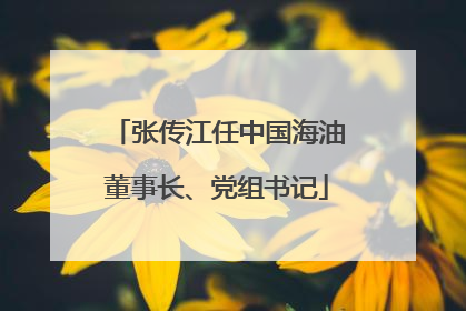 张传江任中国海油董事长、党组书记