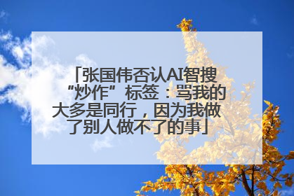 张国伟否认AI智搜“炒作”标签：骂我的大多是同行，因为我做了别人做不了的事