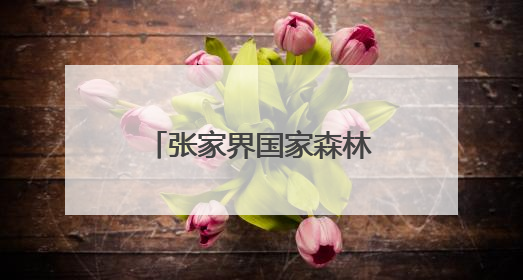 张家界国家森林公园黄石寨景区端午织密安全网 守护游客安心游