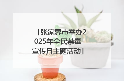 张家界市举办2025年全民禁毒宣传月主题活动