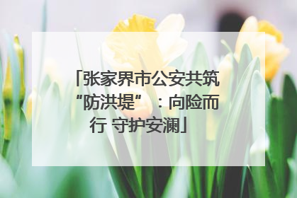 张家界市公安共筑“防洪堤”：向险而行 守护安澜