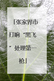 张家界市打响“黑飞”处理第一枪