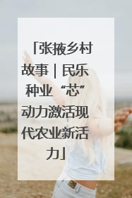 张掖乡村故事｜民乐种业“芯”动力激活现代农业新活力