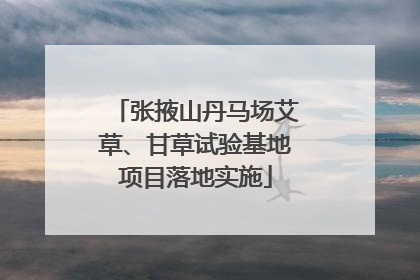 张掖山丹马场艾草、甘草试验基地项目落地实施