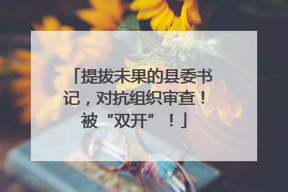 提拔未果的县委书记，对抗组织审查！被“双开”！
