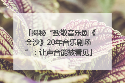 揭秘“致敬音乐剧《金沙》20年音乐剧场”：让声音能被看见