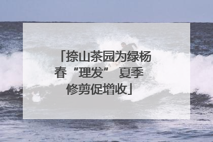 捺山茶园为绿杨春“理发” 夏季修剪促增收