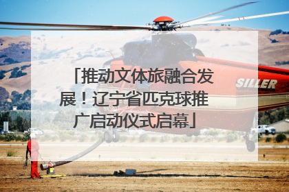 推动文体旅融合发展！辽宁省匹克球推广启动仪式启幕