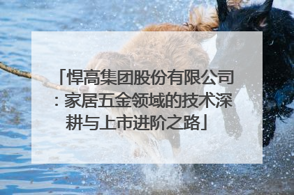 悍高集团股份有限公司：家居五金领域的技术深耕与上市进阶之路