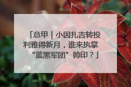意甲｜小因扎吉转投利雅得新月，谁来执掌“蓝黑军团”帅印？