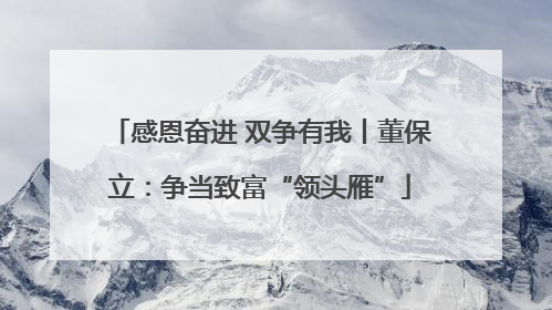 感恩奋进 双争有我丨董保立：争当致富“领头雁”