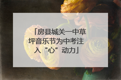房县城关一中草坪音乐节为中考注入“心”动力