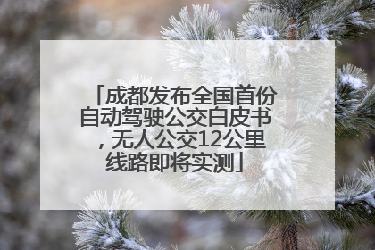 成都发布全国首份自动驾驶公交白皮书，无人公交12公里线路即将实测
