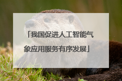 我国促进人工智能气象应用服务有序发展