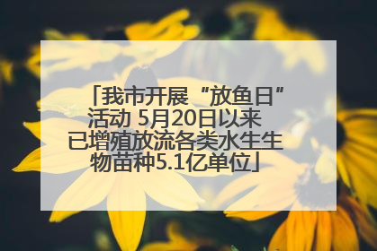我市开展“放鱼日”活动 5月20日以来已增殖放流各类水生生物苗种5.1亿单位